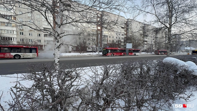 Несколько автобусов застряли на Парковом из-за потопа | Источник: Алексей Кожевников / 59.RU