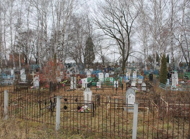 Житель Сасова украл кладбищенскую ограду | ya62.ru