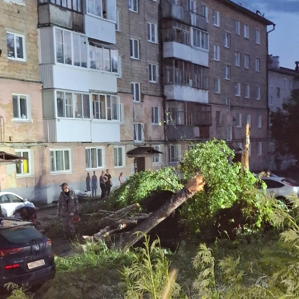 Источник: Подслушано в Кушве