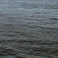 Аватарка Нева