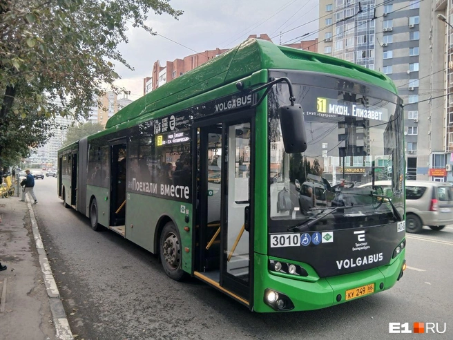 Автобусы-гармошки сегодня возят в центр жителей Академического и Елизавета | Источник: Роман Марьяненко / E1.RU
