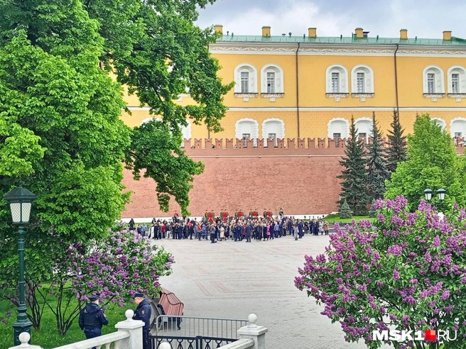Источник: Полина Громова / MSK1.RU