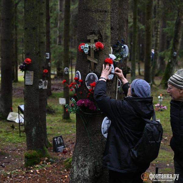 Источник: Андрей Бок / «Фонтанка.ру»
