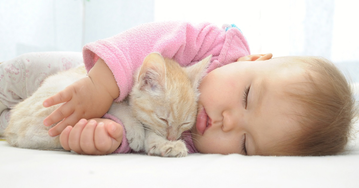 Включи малышам котиков. Кошка для детей. Котёнок-ребёнок. Спящие малыши. Спящий котенок.