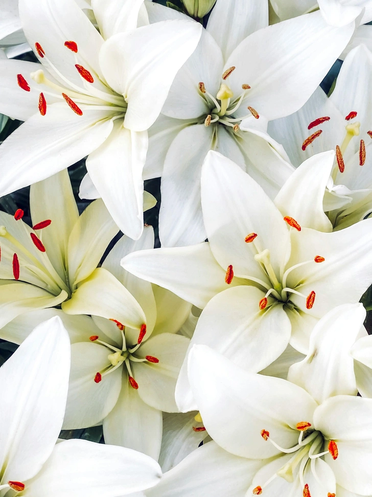 Источник: Eugene Golovesov/Unsplash