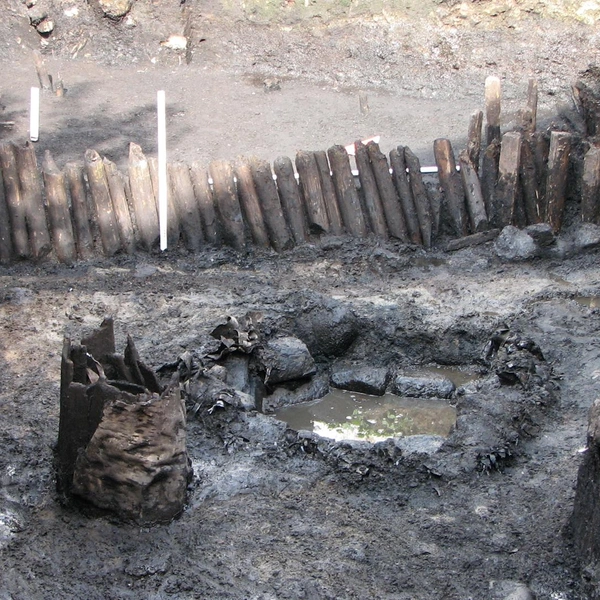 Раскопки ИИМК РАН у Дома купеческой гильдии в Выборге