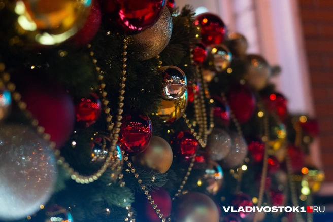 Источник: Елена Буйвол / VLADIVOSTOK1.RU