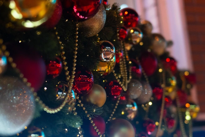 На елку можно повесить мини-талисманы: лавровый лист, сушеные апельсины, колокольчики | Источник: Елена Буйвол / VLADIVOSTOK1.RU