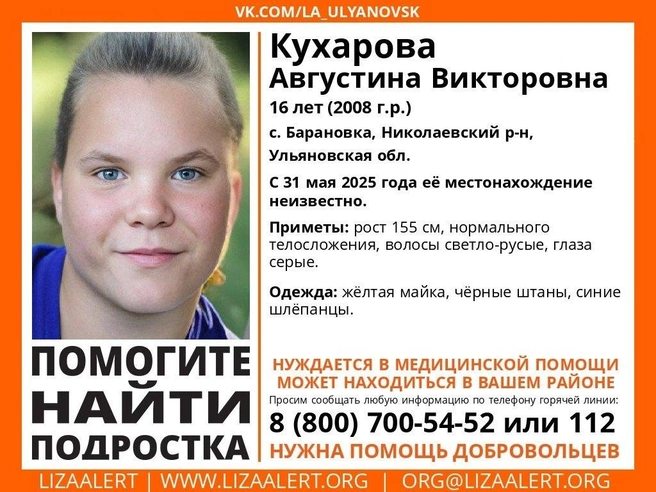 Она нуждается в помощи врачей | Источник: vk.com/la_ulyanovsk