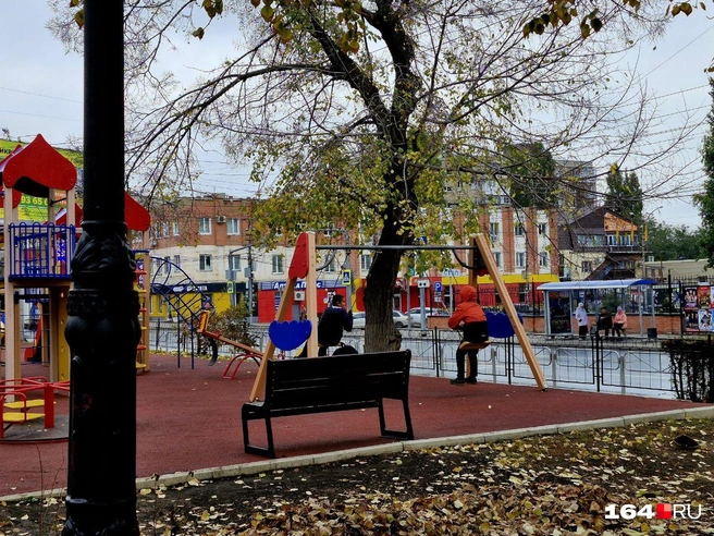 Где нормально обустроили площадку — там и дети будут | Источник: Виктория Федорова / 164.RU
