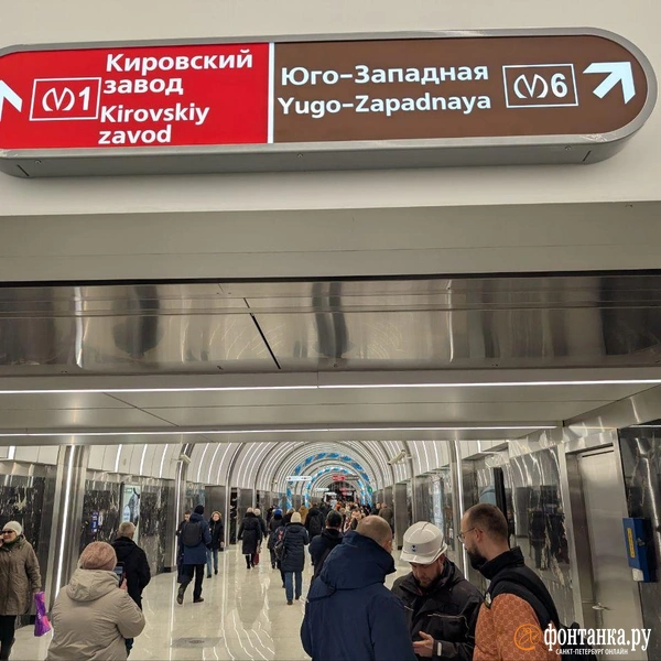 Источник: Фёдор Данилов/«Фонтанка.ру»