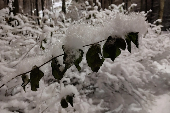 Жителей региона ждут условия, напоминающие американские горки | 142.ru