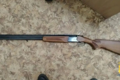 Браконьеры убили лося в национальном парке Забайкалья