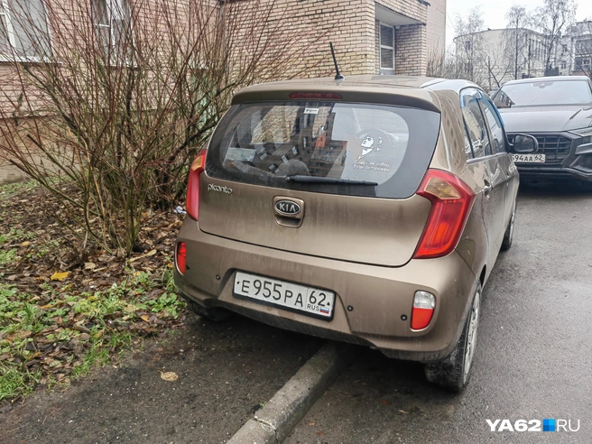 Следи за собой&nbsp;— будь осторожен | Источник: Кристина Мельникова / YA62.RU