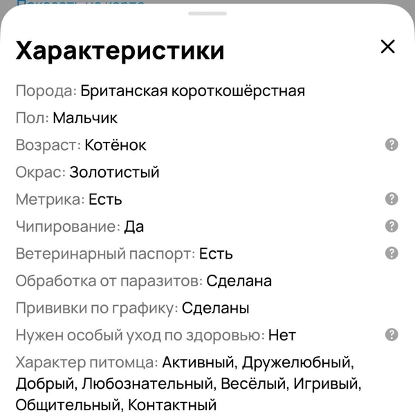 У кота есть полный набор документов | Источник: сайт бесплатных объявлений