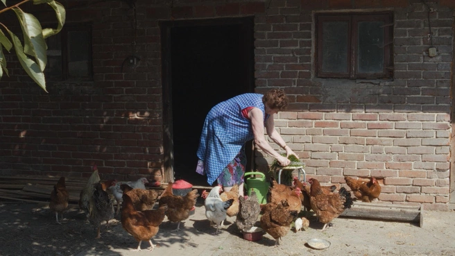 Источник: кадр из фильма