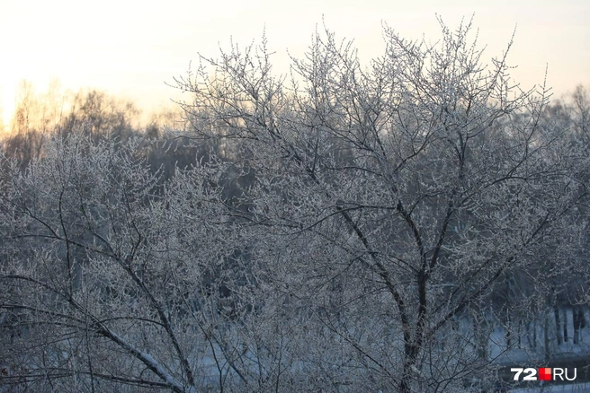Холодная погода надвигается на областную столицу | Источник: Ирина Шарова