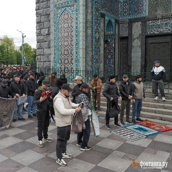 Источник: Михаил Огнев / FONTANKA.RU