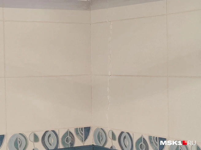 Источник: Михаил Мечев / MSK1.RU