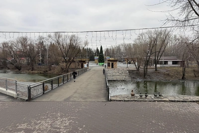 В курганском парке могут построить термальный комплекс