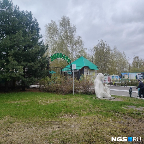 Возле входа в зоопарк расположена скульптура белой медведицы с медвежонком | Источник: Нина Раневская / NGS.RU