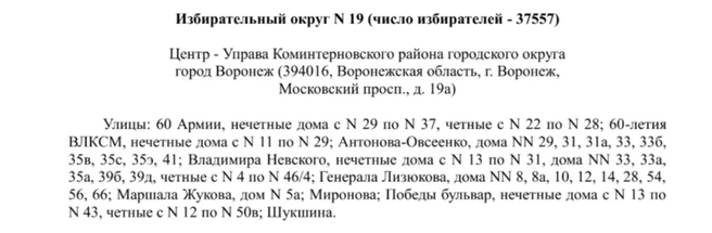 Источник: избирательная комиссия Воронежской области / Voronezh.izbirkom.ru