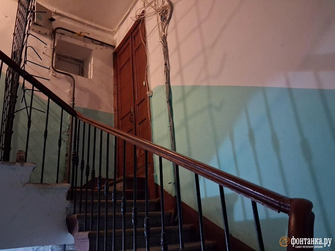 Источник: Анна Мотовилова / «Фонтанка.ру»