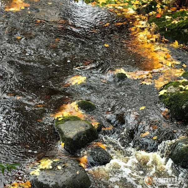 Источник: читатель «Фонтанки»