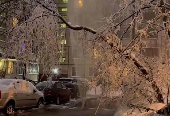 Фонтан с холодной водой забил на проспекте Луначарского — видео