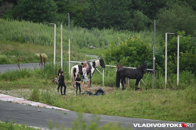 Источник: Елена Буйвол / VLADIVOSTOK1.RU