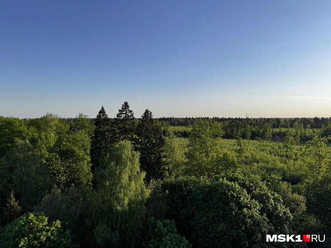 Источник: Алина Мельникова / MSK1.RU