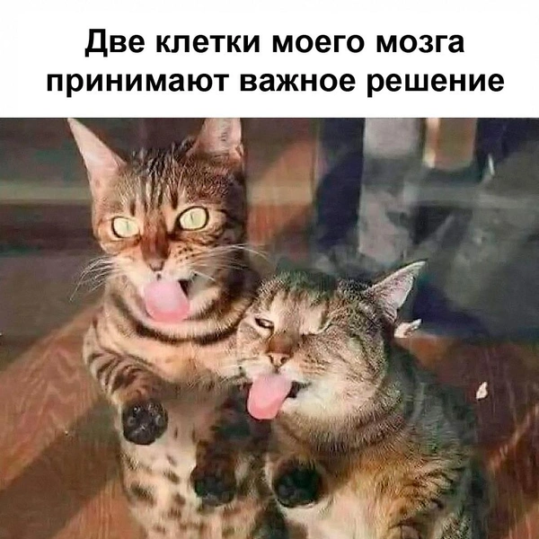 Источник: соцсети