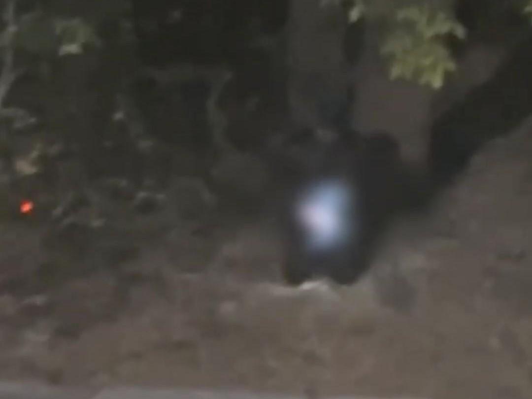 В Волгограде попал на видео пунктуальный эксгибиционист