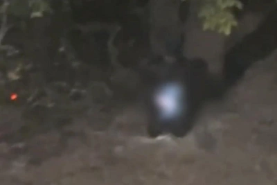Волгоградский эксгибиционист попал на видео