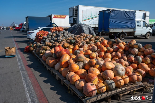 Бета-каротин положительно сказывается на состоянии кожи и поддерживает иммунитет | Источник: Евгений Вдовин / 161.RU