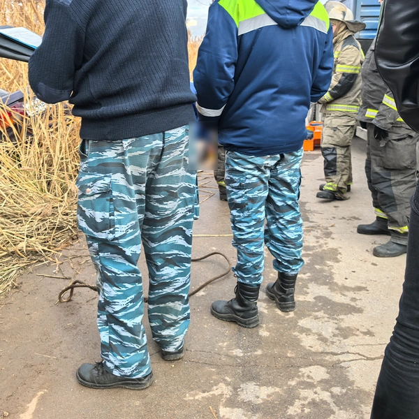 Источник: «Волгоград Красноармейский» / Telegram