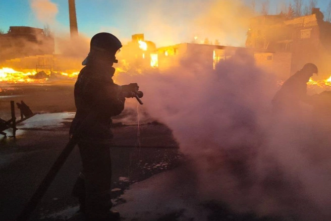 Пожар охватил 2500 квадратных метров | Источник: пресс-служба МЧС по Нижегородской области