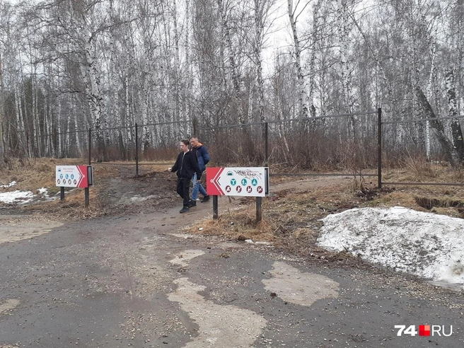 Тропа берет начало на улице Изумрудной | Источник: читатель 74.RU