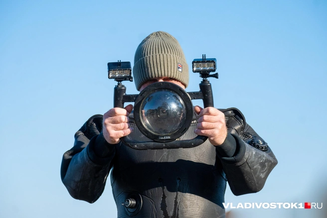 Источник: Елена Буйвол / VLADIVOSTOK1.RU