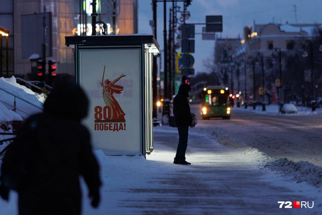 Источник: Ирина Шарова / 72.RU