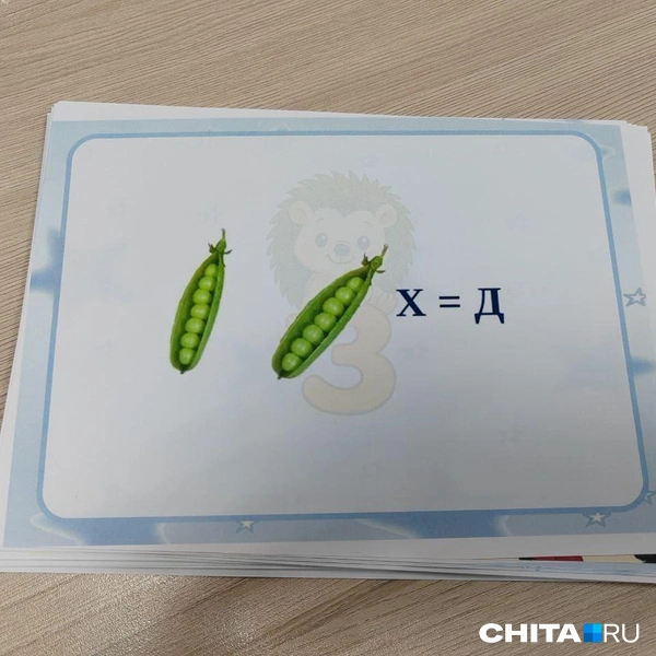 Источник: Дарья Кливенкова / CHITA.RU