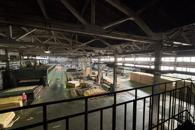 Завод по производству шпона выставлен на продажу в Тутаеве