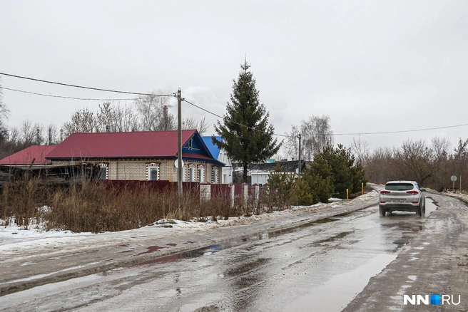 Тепло в Нижегородской области опасно для урожая | Источник: Наталья Бурухина / NN.RU