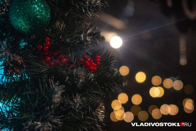 Источник: Елена Буйвол / VLADIVOSTOK1.RU