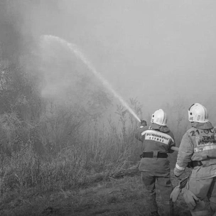 Қазақстанда 12 маусым Жалпыұлттық аза тұту күні болып жарияланды