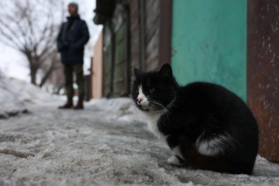 События в Татарстане: ракетная опасность, ДТП и спасение