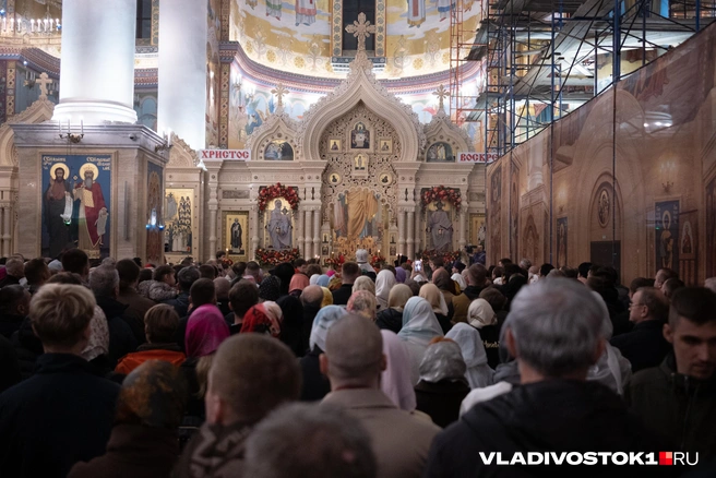 Источник: Елена Буйвол / VLADIVOSTOK1.RU
