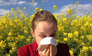 Социологи выявили самую распространенную аллергию у россиян