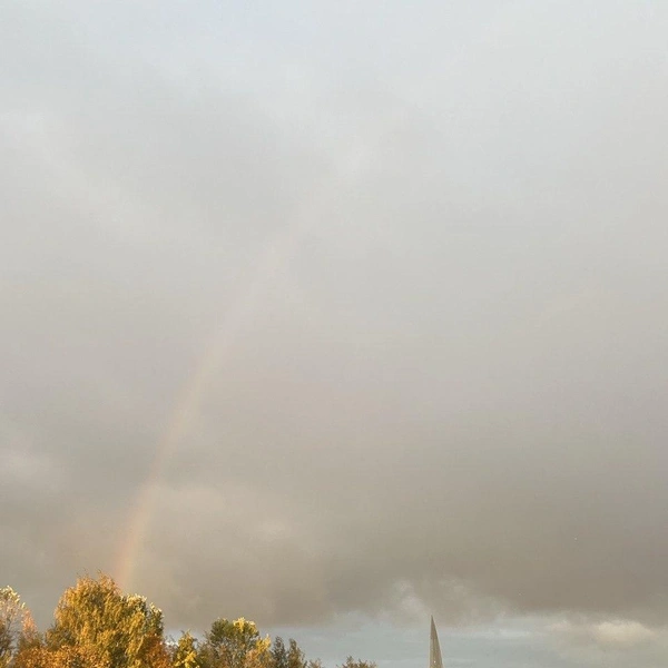 Источник: читательница «Фонтанки» Елена