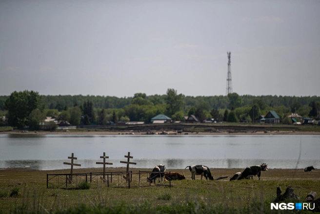 Два поселка находились рядом с городом Каргат | Источник: Александр Ощепков / NGS.RU